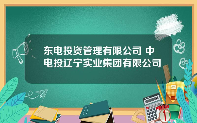 东电投资管理有限公司 中电投辽宁实业集团有限公司